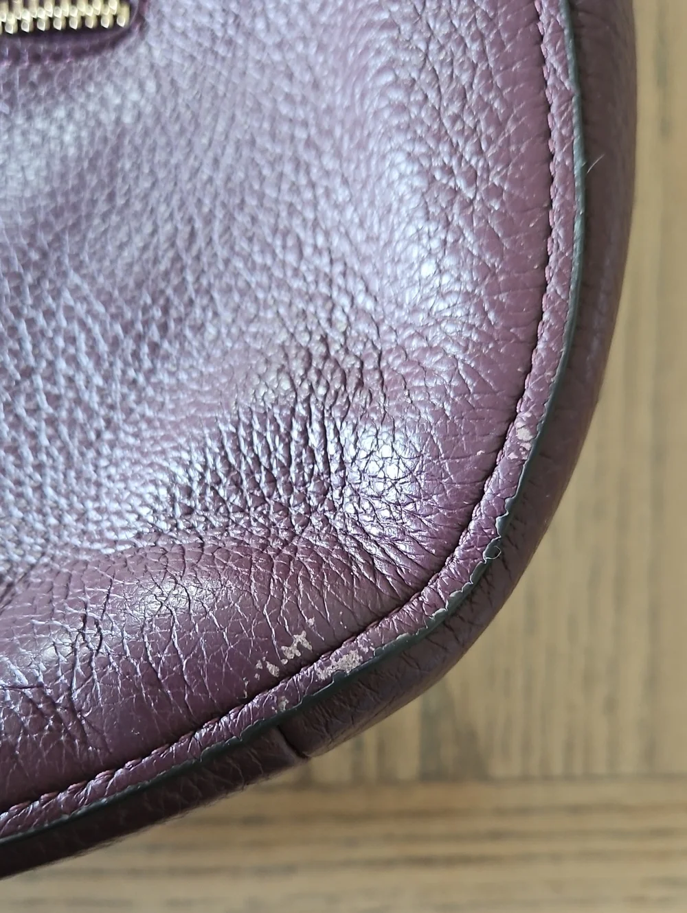 Coach elle hobo